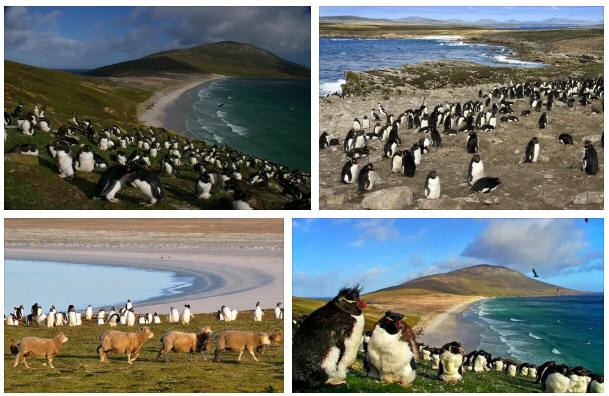 Falklands: population