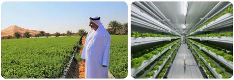 United Arab Emirates Agriculture